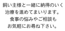 飼い主様と一緒に納得のいく治療を進めてまいります。食事の悩みやご相談もお気軽にお尋ね下さい。